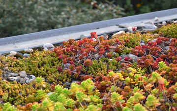 the cost of Upsall green roof installation
